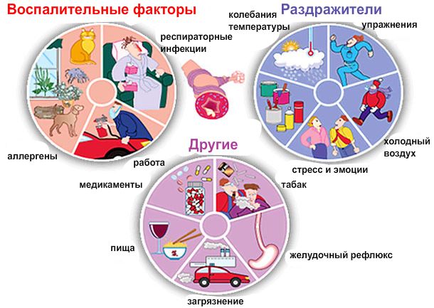 Профилактика бронхиальной астмы.