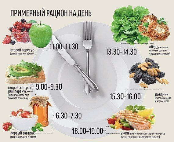 Основы правильного питания