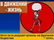 Школа физической активности