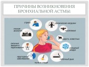 Профилактика бронхиальной астмы