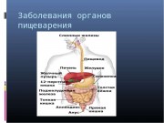 Болезни органов пищеварения