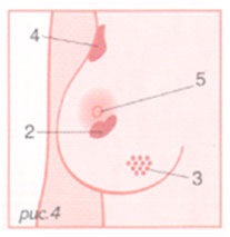 рис4